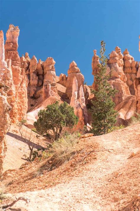 Bryce Canyon's Hoodoos: A Visitors Guide – Insider's Utah