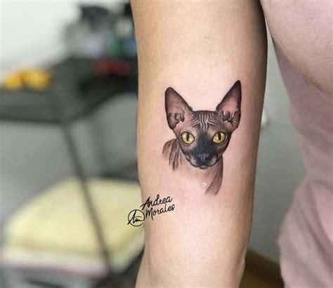 Sphynx Cat tattoo by Andrea Morales | Post 23151 | Sphynx cat tattoo ...