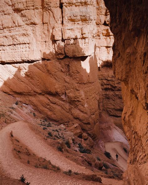 Camping In Bryce Canyon National Park (FULL GUIDE) | What Do You Sea