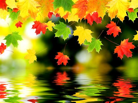 Free download Autumn Computer Wallpapers Desktop Backgrounds 2560x1920 ...