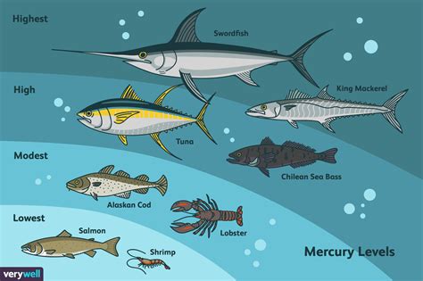 Low Fat, Low Mercury Fishes | Low-Toxin Lifestyle, Toxic Bile Theory, Ray Peat's Research