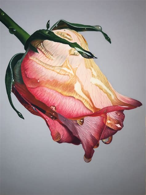 Hyperreal Oil Pastel Drawings of Flowers Drenched in Honey