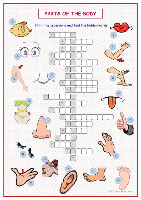 Printable Body Puzzle - Printable Crossword Puzzles