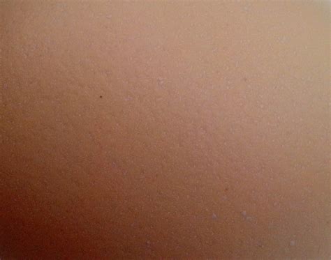 Eggshell Texture Free Stock Photo - Public Domain Pictures