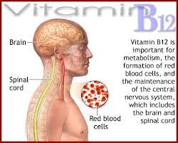 Check For Vitamin B12 Deficiency In Elderly - Medical Articles by Dr. Ray