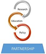 Frontiers | Development and Application of a Program for Reinforcing Global Health Competencies ...