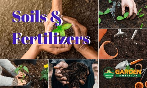 Best Soils and Fertilizers for Your Garden (2018 Reviews)