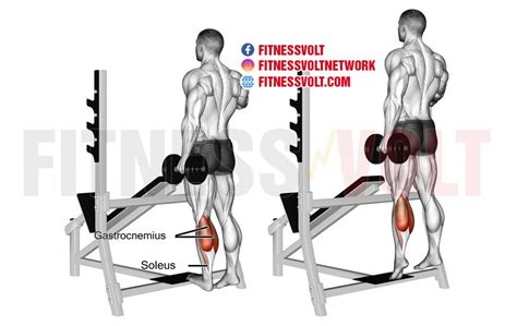 The 11 Most Effective Calf Raise Exercises – Fitness Volt