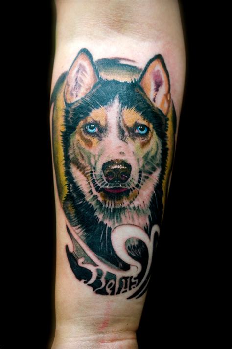 husky dog by tattooneos on DeviantArt