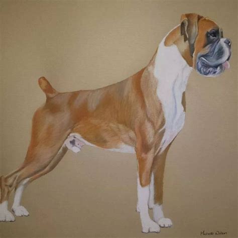 soft pastels on pastelmat www.michellewilsonart.com | Pet portraits, Soft pastel, Animals