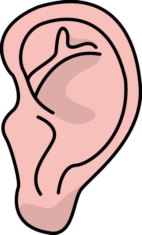 Image For Free Ear Health High Resolution Clip Art - Ear High Resolution - Png Download - Full ...