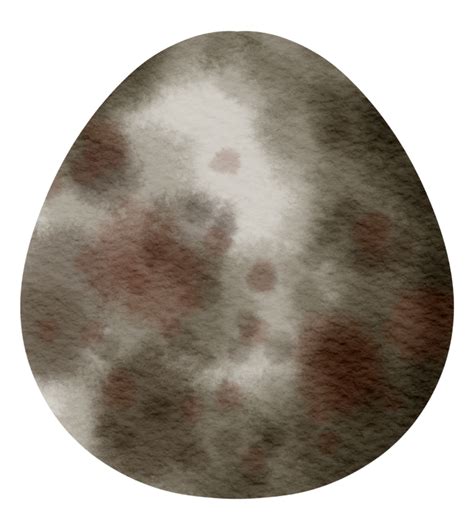 Egg watercolor hand paint 13181727 PNG
