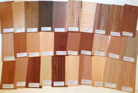 Buy 30 Pieces Wood Veneer Identification Labeled Pack Named Name ...