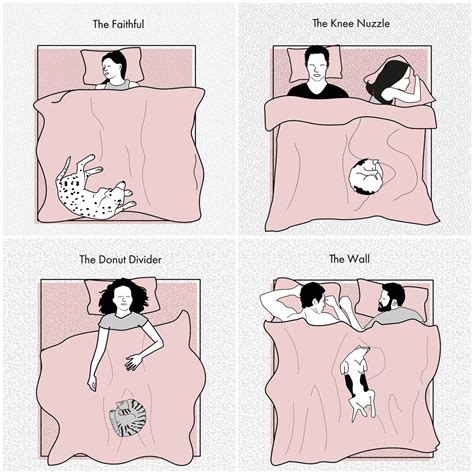 10 pet sleeping positions and what they say about your owner bond | Dog sleeping in bed ...