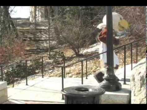 BC Eagles Mascot Baldwin as Rocky - YouTube