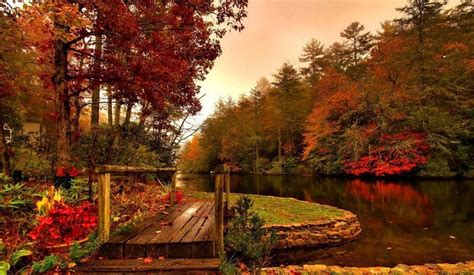 ️Saveur des mots ️ on X | Autumn scenes, Autumn scenery, Fall pictures