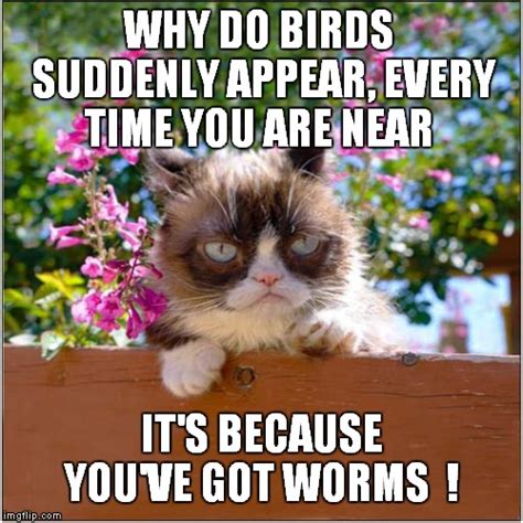 Grumpy Sings About Birds And Worms - Imgflip