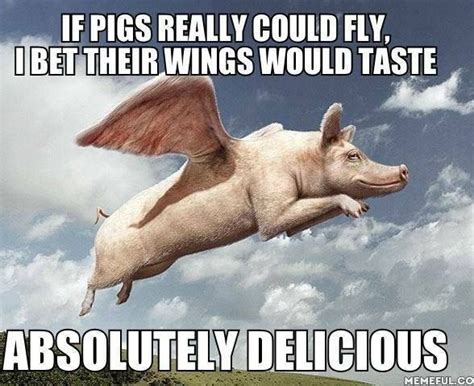 If pigs could fly - Meme Guy