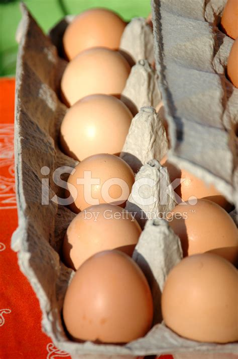 Brown Eggs Stock Photo | Royalty-Free | FreeImages