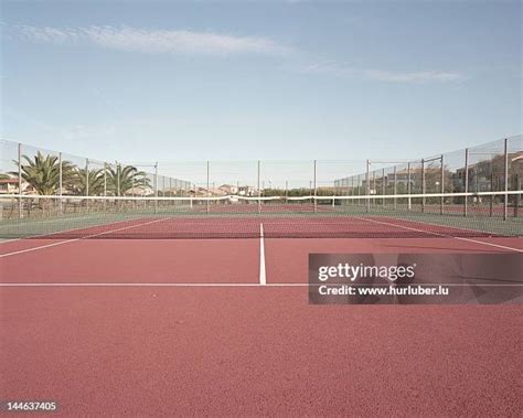 The Palm Court Photos and Premium High Res Pictures - Getty Images