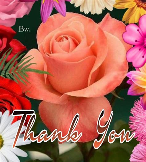 Pin by Punnasa Rattanakovit on Thank you | Thank you images, Thank you flowers, Thank you wallpaper