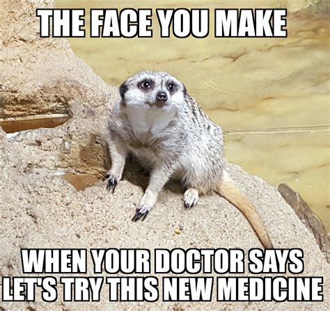 Best Chronic Illness Memes