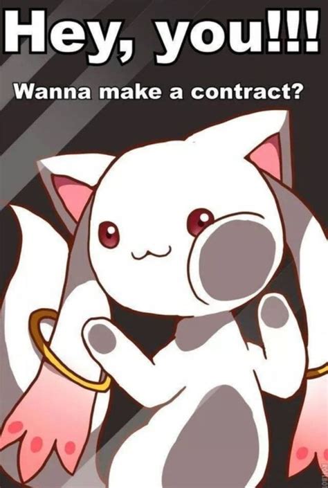 Hey you!!! Wanna make a contract | Madoka Magica | Pinterest