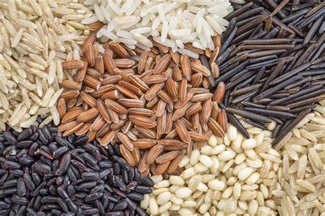 Discovering the Word of Wisdom: Paleo Diet and Grains | Meridian Magazine