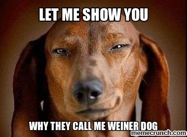 Weiner Memes