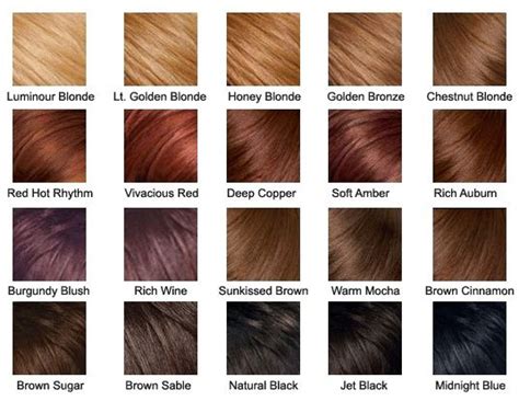 Brown hair color chart, Hair color chart, Hair dye colors