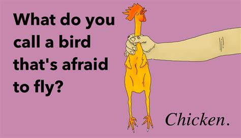 50 Chicken Puns You Will Be EGGcited To Tell All Your Friends | Thought Catalog