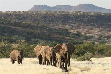 Damaraland Camp - Namibia Safari