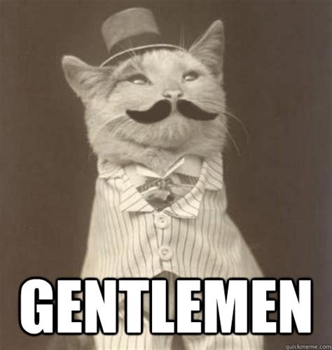 Gentlemen - Original Business Cat - quickmeme