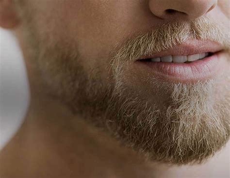 Top 15 Beard Styles For Men | Gillette