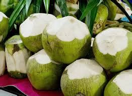 Tender Coconut – Vegetables & Fruits best price in chennai