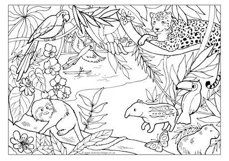 Rainforest Colouring Page | Jungle coloring pages, Animal coloring ...