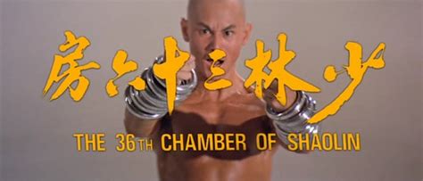 Picture of The 36th Chamber of Shaolin