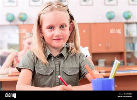 portrait of students in the classroom, sit at school desks Stock Photo ...