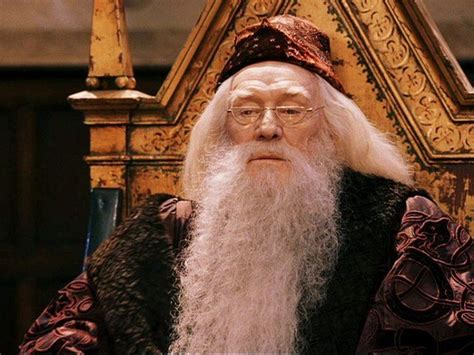 Dumbledorr | First harry potter movie, Harry potter dumbledore, Harry ...