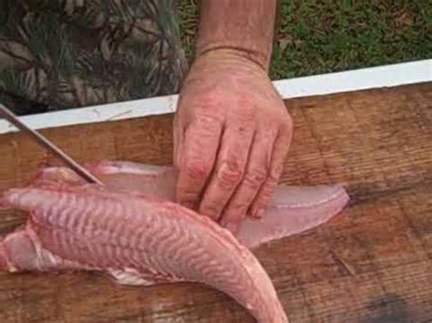 Skinning and Fileting a Catfish - YouTube