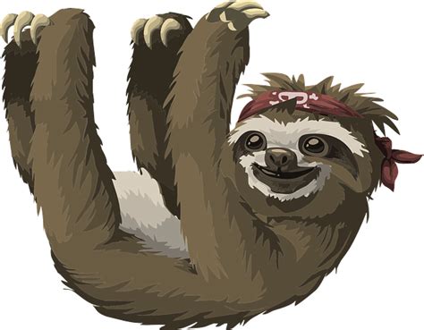 Download Sloth, Animal, Mammal. Royalty-Free Vector Graphic - Pixabay