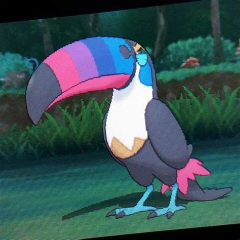 Toucannon | Wiki | Pokémon Amino