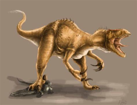 Megaraptor - Facts and Pictures