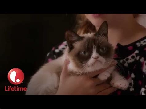 Grumpy Cat The Movie Trailer