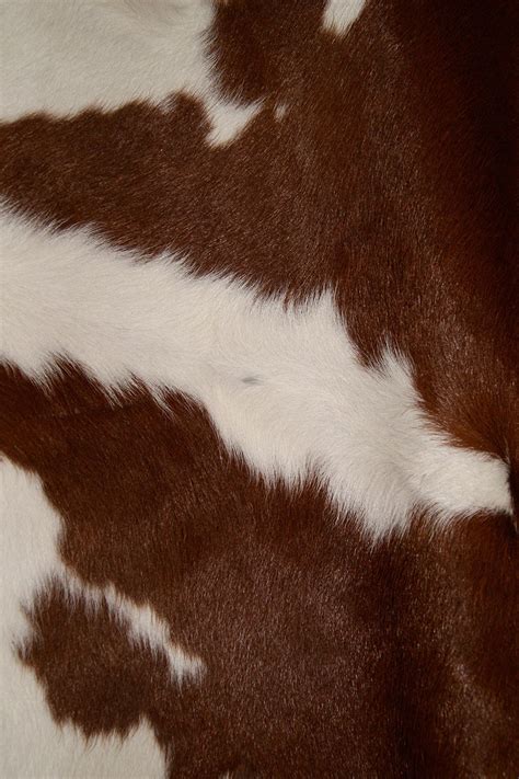 Cowhide Wallpapers - Wallpaper Cave