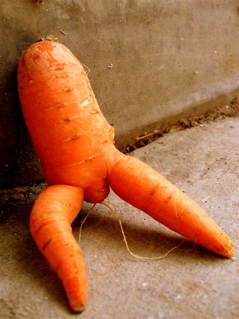 Latest Funny Pictures: Funny Carrots