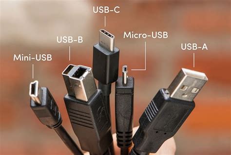 Usb Types A B C Their Differences - vrogue.co