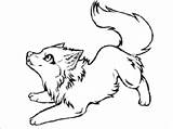 Baby Wolf Coloring Page  ColoringBay sketch template