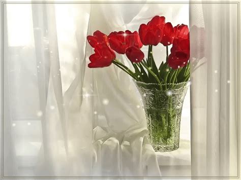 Spark, Glass Vase, Flowers, Beautiful, Home Decor, Woman, Video, Tulips ...