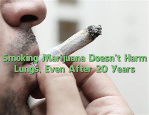 Largest Ever Study on Marijuana Reveals Smoking It does not Damage the Lungs, Rather Improves It